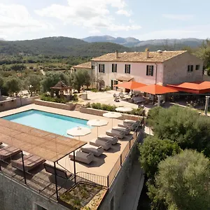 Son Sabater By Zafiro Hotel